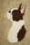 Boston Terrier aplikacja filcowa biało-czekoladowy.jpg