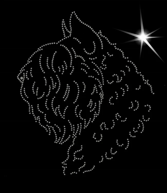 Bouvier des Flandres aplikacja diamentowa głowa 2 kopiowany.jpg