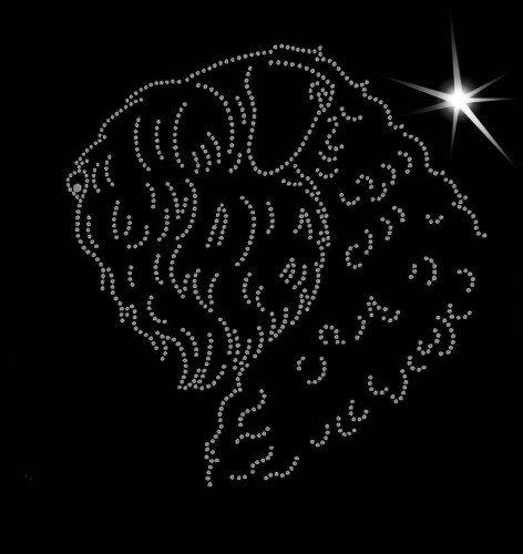 Bouvier des Flandres aplikacja diamentowa głowa.jpg