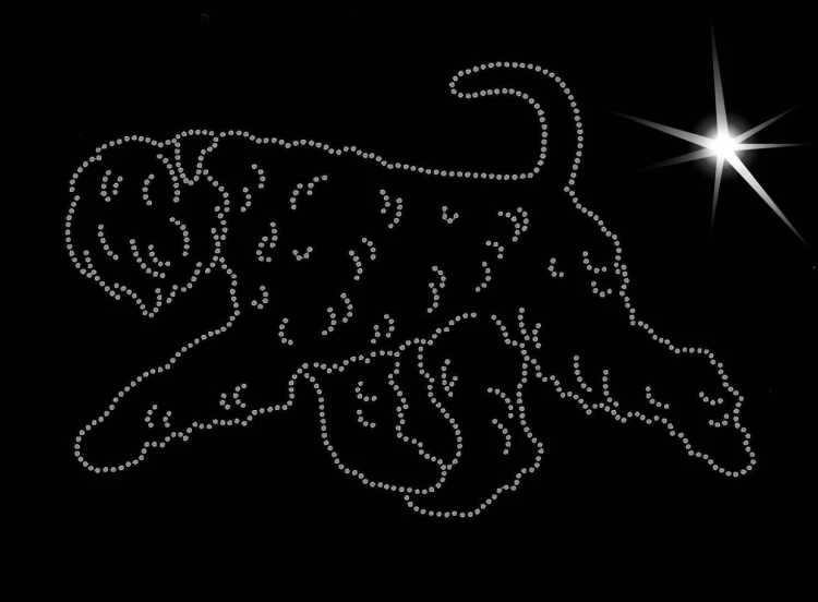 Bouvier des Flandres aplikacja diamentowa sylwetka A.jpg