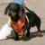 5_981e52ac-7cd2-4e11-916c-f9795f8c94e1_grande.webp