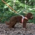 stanleyH_H1038_grande.webp