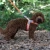 stanleyH_H1042_grande.webp