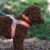 stanleyH_H1040_grande.webp