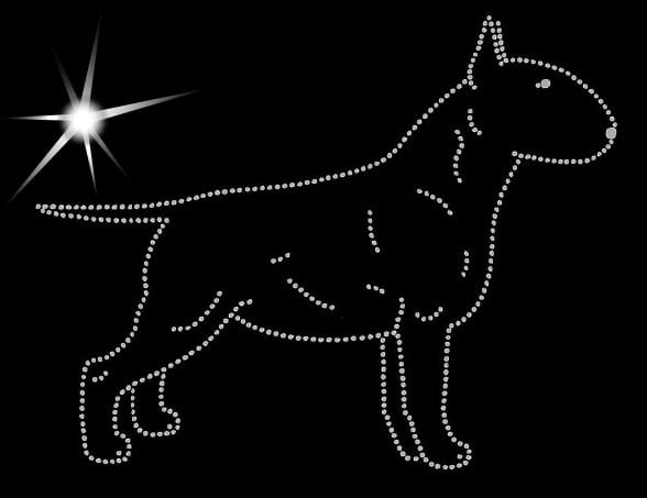 Bullterrier sylwetka aplikacja diamentowa.jpg