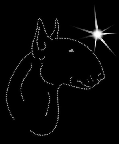 Bullterrier głowa aplikacja diamentowa.jpg