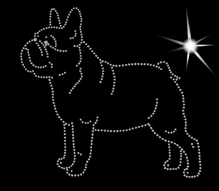 Buldog francuski  -  aplikacja filcowa sylwetka A.jpg