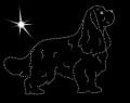 Koszulka z Aplikacją Diamentową - rasa Cavalier King Charles Spaniel (T-shirt w zestawie)