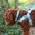 4_1a3a7db8-c0c5-42de-bbf5-f93478c48049.webp