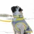 7_552793ee-7c55-4487-9fc9-d10aa4a385da.webp