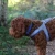 stanleyH_H1047-resize.webp