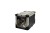 maelson_sk52_dog.jpg
