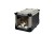 maelson_sk62_cat.jpg