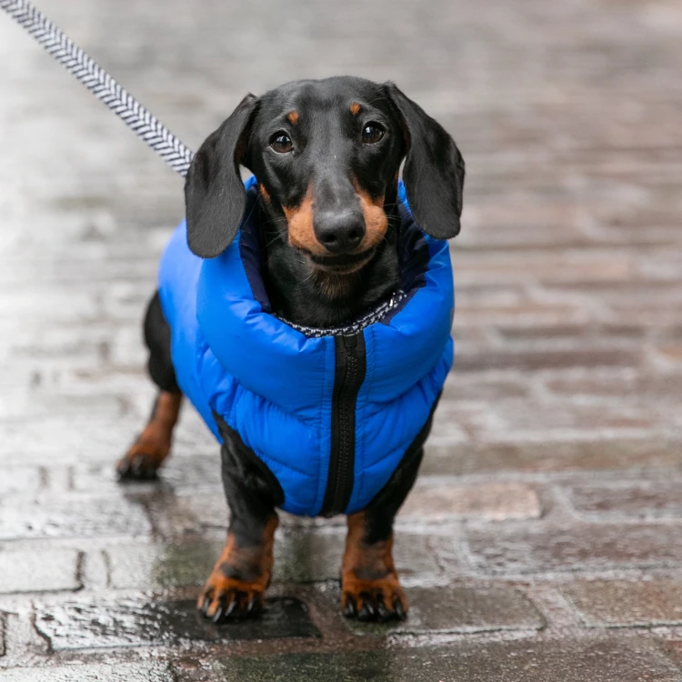 7_eba9f064-52c1-4b02-8466-00a6a70ac720.webp