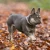 7_7dc4b935-4ebb-40f6-8e2f-8eb6a84453d1.webp