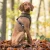 7_20acc4b6-2a95-4154-9b7b-5d37b6118929.webp