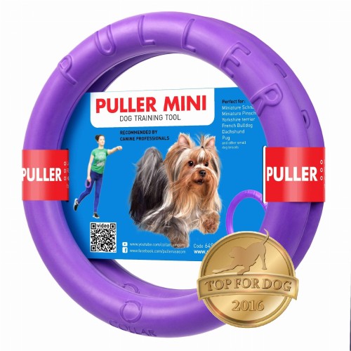 dog fitness tool mini.jpg