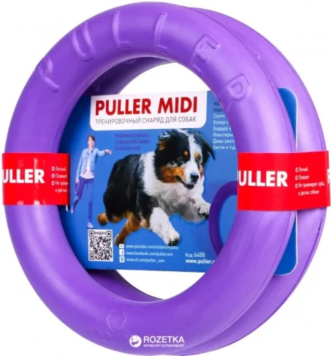 dog fitness tool midi.webp