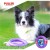 dog fitness tool midi_2.jpg