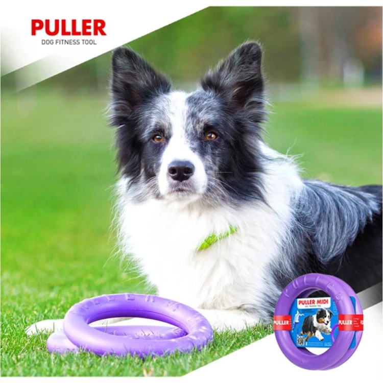 dog fitness tool midi_2.jpg