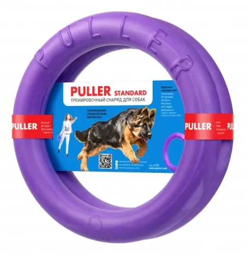 dog fitness tool standard.webp