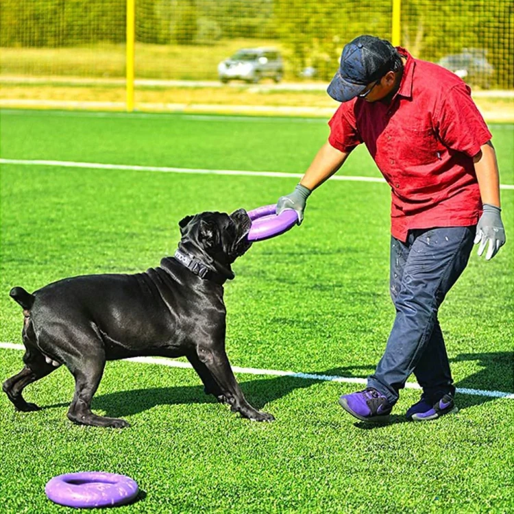 puller dog fitness maxi_ 2.webp
