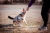 liker cord_10.webp