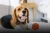 liker cord_8.webp