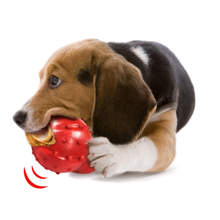 cone xs 2.jpg