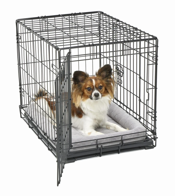 40224-DSGY_crate_dog.jpg