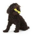 Kość dla psa West Paw Zogoflex Hurley Dog Bone - Duża (L), zielona