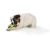 BD5EB995-8981-4A94-81A4-614920DFEB9A.webp