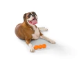 Zabawka dla psa West Paw Zogoflex Rumpus Dog Toys - Średnia (M), niebieska 