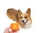 88B90C67-FFDD-4963-B326-1977A4023ED2.webp