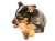 D912D24E-D6DF-4976-9D7D-F9C95B3A613C.webp