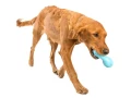 Zabawka dla psa West Paw Zogoflex Qwizl Dog Toys - Small (S), niebieska