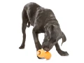 Zabawka dla psa West Paw Zogoflex Qwizl Dog Toys - Small (S), niebieska