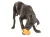 1A0D4F49-7245-4556-9B24-117DF067B6DE.webp