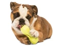Zabawka dla psa West Paw Zogoflex Qwizl Dog Toys - Small (S), niebieska