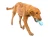 ABE8DEA2-AC37-436F-AB39-379EF3A41541.webp