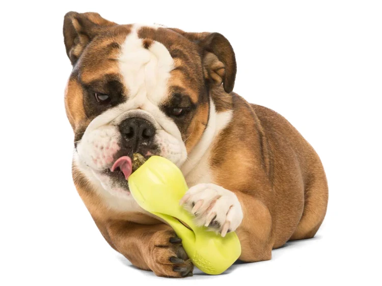 F1AB8CC2-4606-45B6-8775-BD9DB4ACA59E.webp