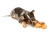F730153D-C253-40D7-8D08-E9E66C155FBC.webp