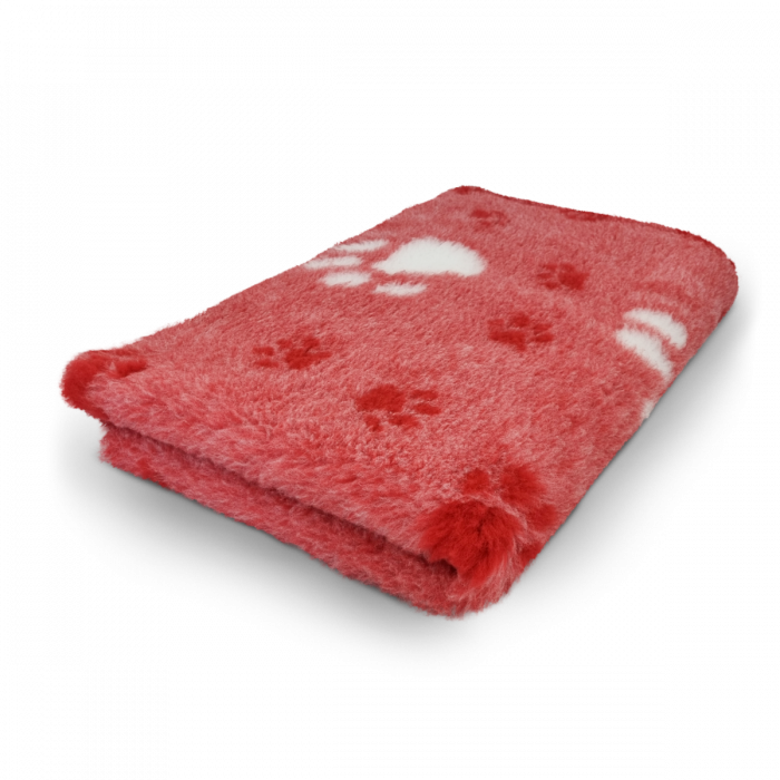 310764D7-6BE7-4004-B5AB-C917505F9290.png