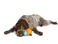 Zabawka dla psa West Paw Zogoflex Toppl Dog Toys - Large (L), zielona