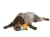 2F0F52A0-A69D-424F-851A-EDA9DC11EFC5.webp