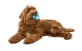 Zabawka dla psa West Paw Zogoflex Tux Dog Toys - Small (S), niebieska 