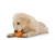 907DB6D1-4EAD-4ECA-B366-5A138C56628F.webp