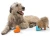 380C9B4D-3D79-4673-9756-4CA1F6C3D6A9.webp