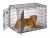 PC36-GF_736UP_dog_fleece.jpg