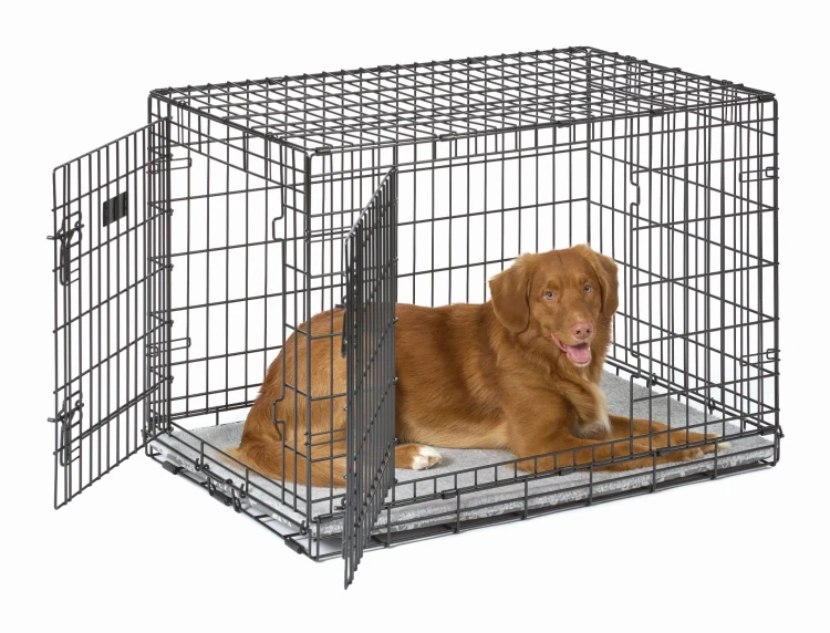 PC36-GF_736UP_dog_fleece.jpg